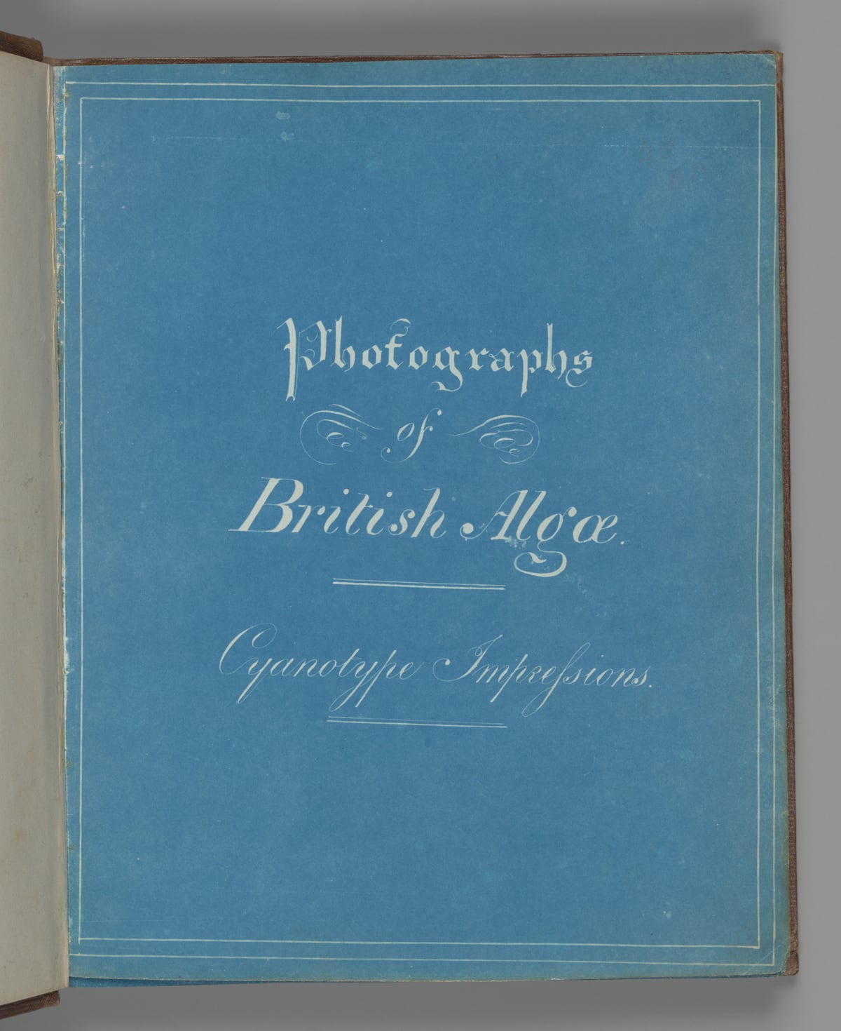 A blue book cover with hand-lettered white words reading Photographs of British Algae.