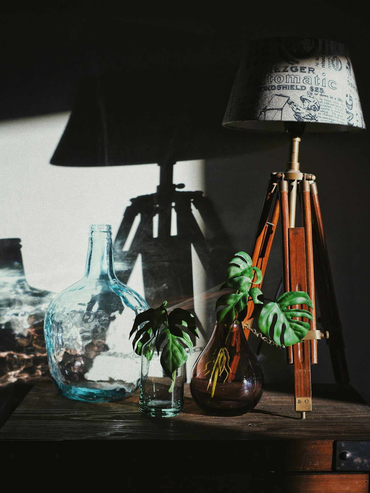 Sunlight on green leaves, glass vessels, and a wooden lamp.